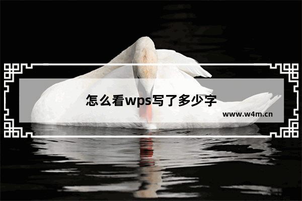 怎么看wps写了多少字