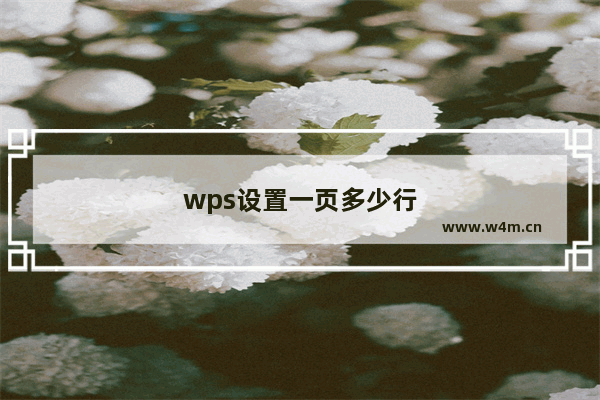 wps设置一页多少行