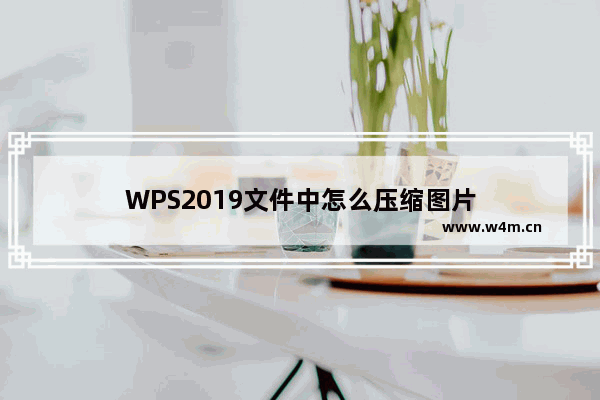 WPS2019文件中怎么压缩图片