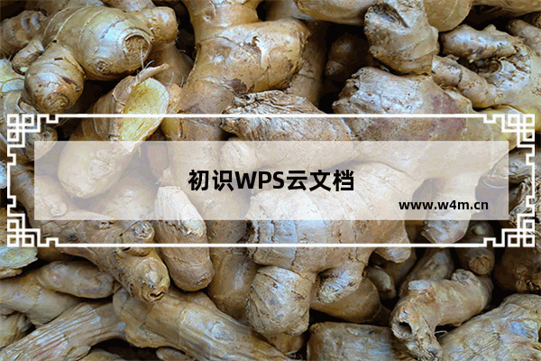 初识WPS云文档