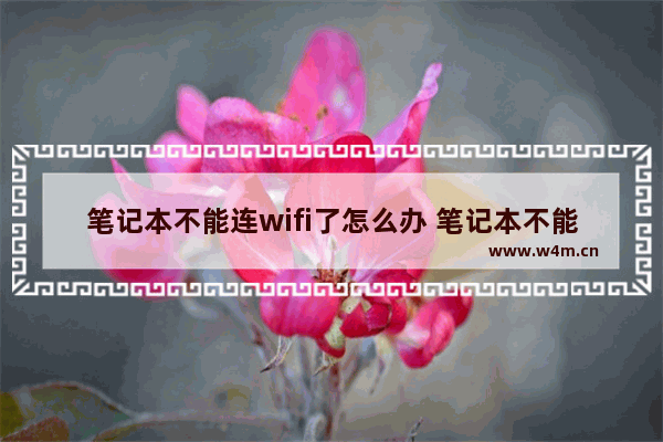 笔记本不能连wifi了怎么办 笔记本不能连wifi了怎么回事