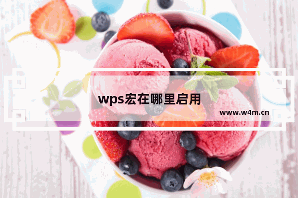 wps宏在哪里启用