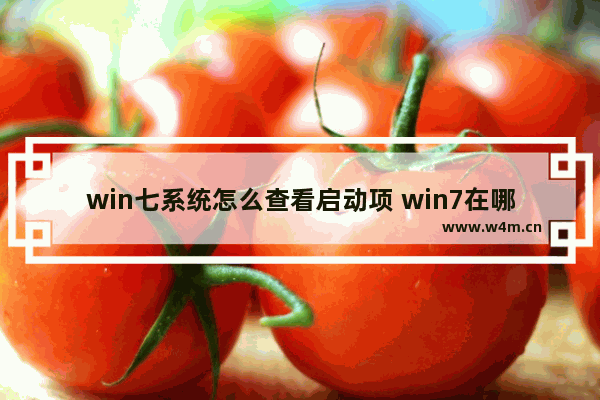 win七系统怎么查看启动项 win7在哪看启动项