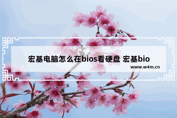 宏基电脑怎么在bios看硬盘 宏基bios设置硬盘