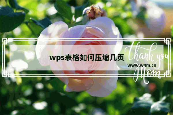 wps表格如何压缩几页