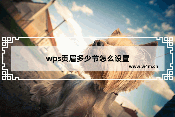 wps页眉多少节怎么设置