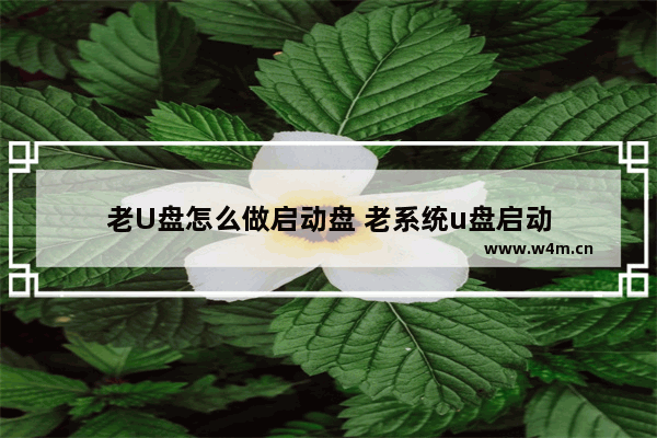 老U盘怎么做启动盘 老系统u盘启动