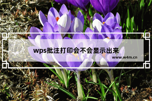 wps批注打印会不会显示出来