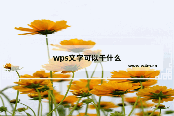 wps文字可以干什么