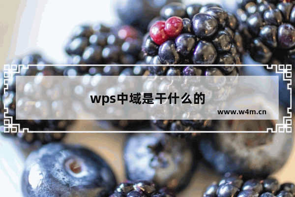 wps中域是干什么的