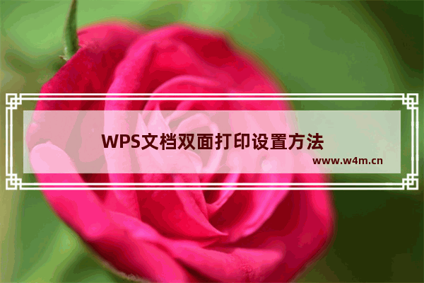 WPS文档双面打印设置方法