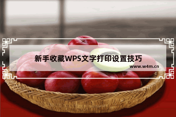 新手收藏WPS文字打印设置技巧