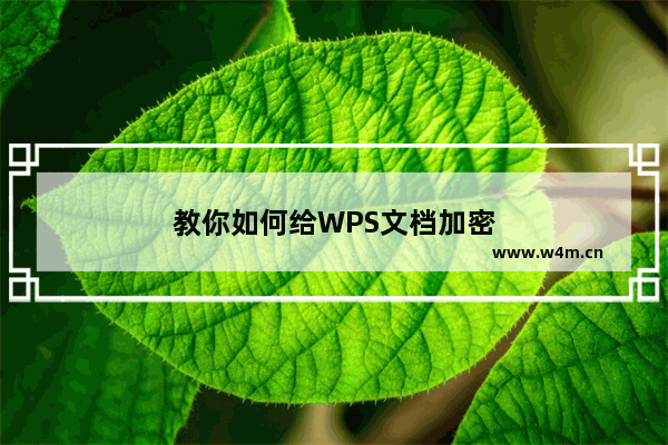 教你如何给WPS文档加密