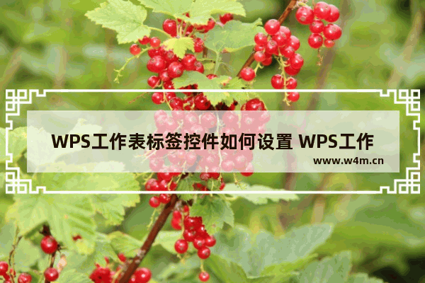 WPS工作表标签控件如何设置 WPS工作表标签控件在哪