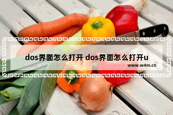 dos界面怎么打开 dos界面怎么打开u盘文件