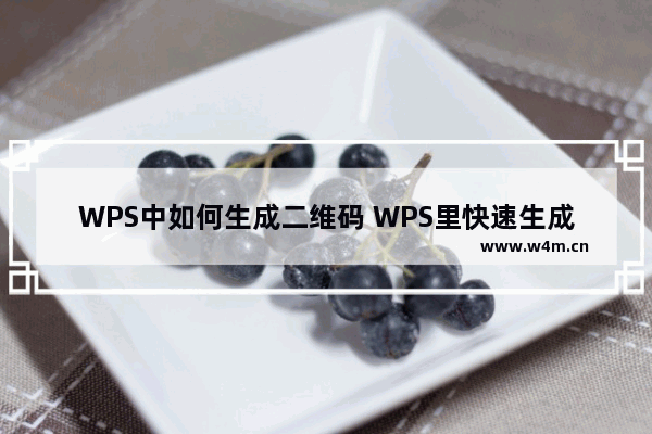 WPS中如何生成二维码 WPS里快速生成二维码教程