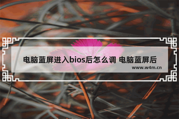 电脑蓝屏进入bios后怎么调 电脑蓝屏后进入bios后怎么办