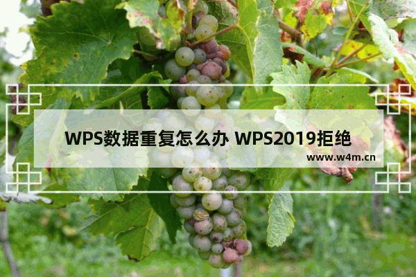 WPS数据重复怎么办 WPS2019拒绝录入重复项如何使用