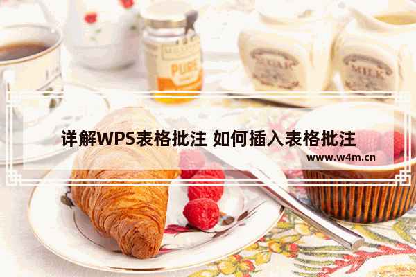 详解WPS表格批注 如何插入表格批注