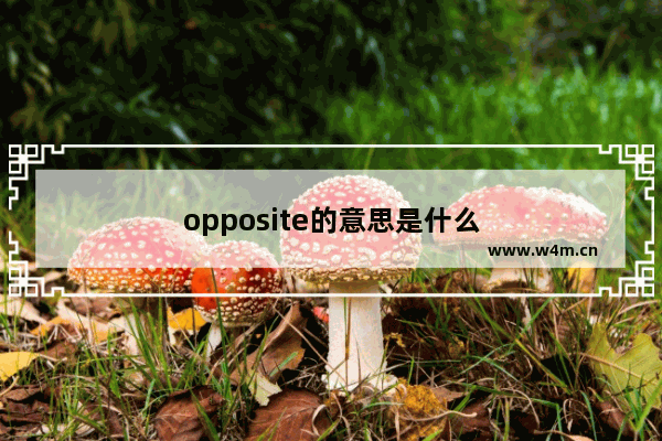 opposite的意思是什么