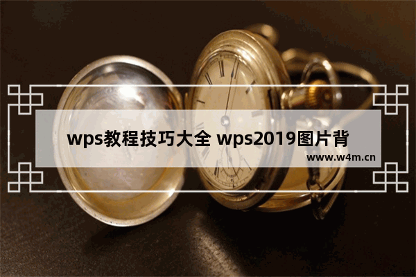 wps教程技巧大全 wps2019图片背景色怎么去除