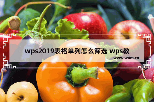 wps2019表格单列怎么筛选 wps教程技巧大全