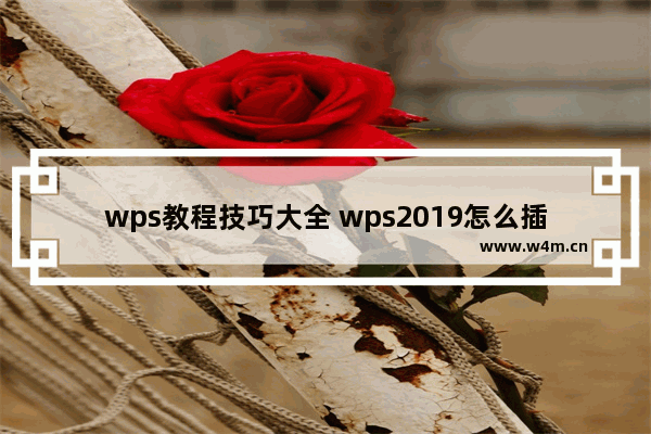 wps教程技巧大全 wps2019怎么插入雷达图