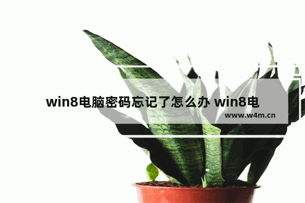 win8电脑密码忘记了怎么办 win8电脑忘记开机密码怎么办简单方法