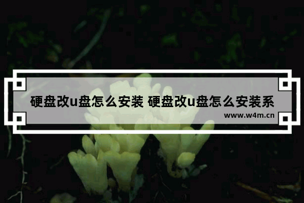 硬盘改u盘怎么安装 硬盘改u盘怎么安装系统