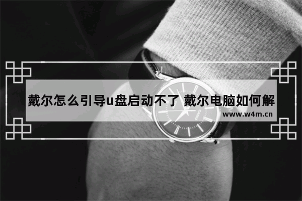 戴尔怎么引导u盘启动不了 戴尔电脑如何解决U盘启动问题