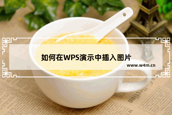 如何在WPS演示中插入图片