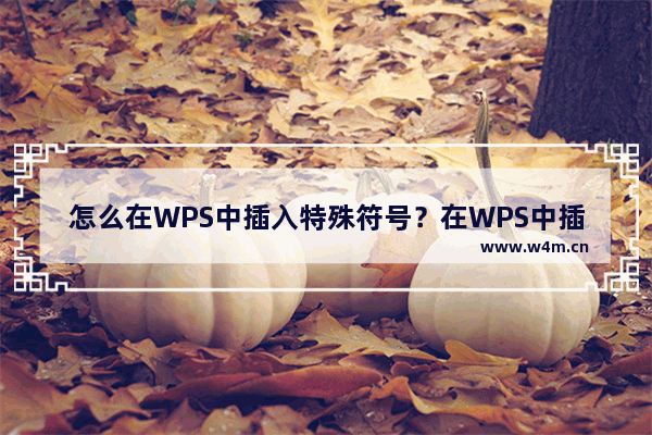 怎么在WPS中插入特殊符号？在WPS中插入特殊符号的方法