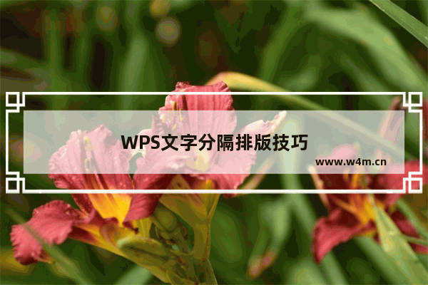 WPS文字分隔排版技巧