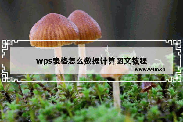 wps表格怎么数据计算图文教程