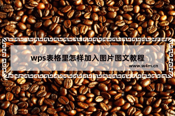 wps表格里怎样加入图片图文教程