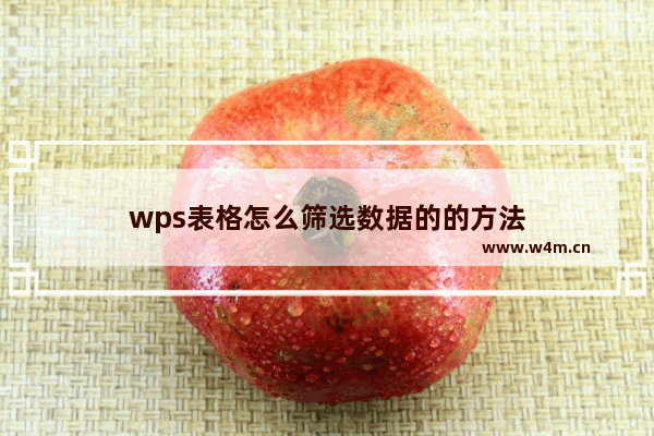 wps表格怎么筛选数据的的方法