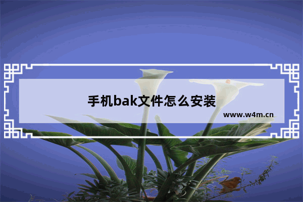 手机bak文件怎么安装