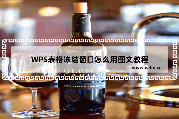 WPS表格冻结窗口怎么用图文教程