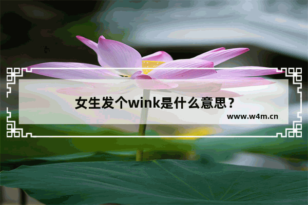 女生发个wink是什么意思？