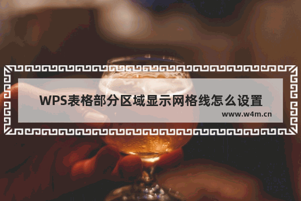 WPS表格部分区域显示网格线怎么设置