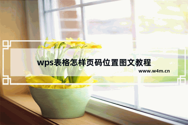 wps表格怎样页码位置图文教程