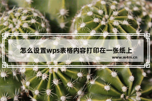 怎么设置wps表格内容打印在一张纸上