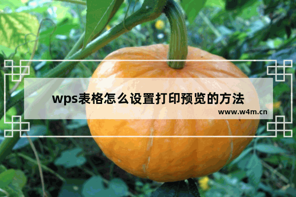 wps表格怎么设置打印预览的方法