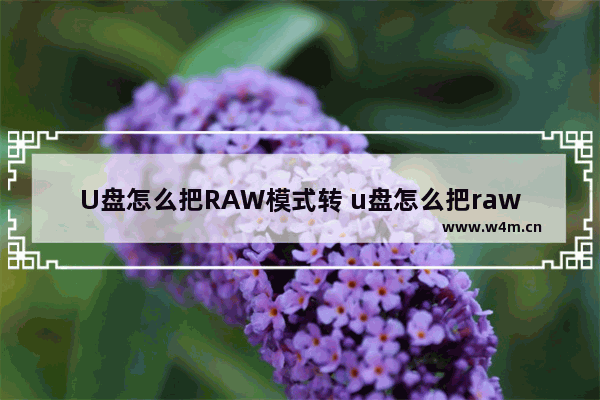 U盘怎么把RAW模式转 u盘怎么把raw模式转成文件