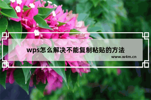 wps怎么解决不能复制粘贴的方法