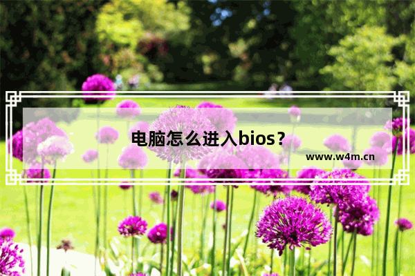 电脑怎么进入bios？