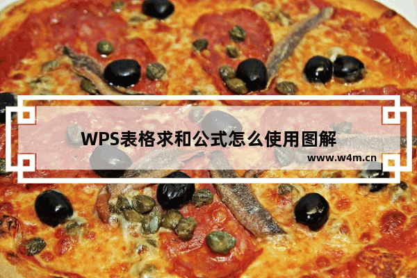 WPS表格求和公式怎么使用图解