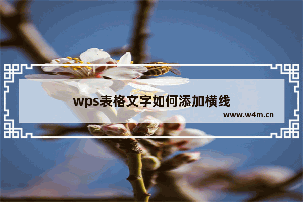 wps表格文字如何添加横线