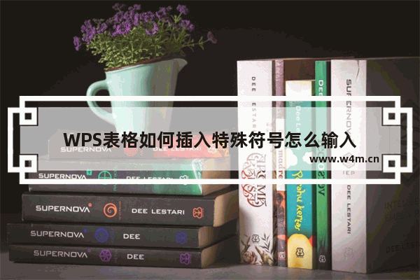 WPS表格如何插入特殊符号怎么输入