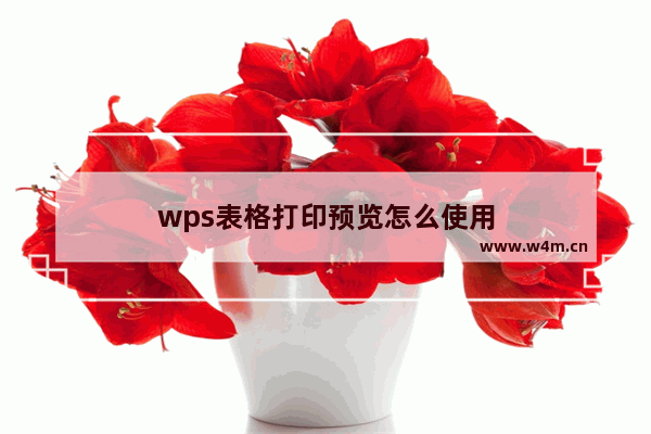 wps表格打印预览怎么使用